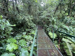 Propiedad de 26 hectareas con canopy tour, caballos, dos casas etc. in Arenal, Tilarán, Guanacaste — $1,590,000 - Photo 5 of 36