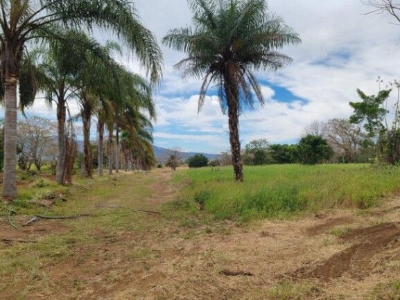 Se vende lote de 8.6 hectáreas en Desamparados de Alajuela 25-1444 in Desamparados, Alajuela — $10,835,000