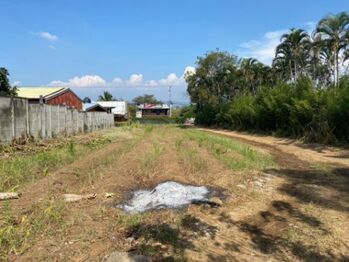Se vende lote de 2.5 hectáreas para inversión en Guácima Alajuela 25-1010 en Guácima, Alajuela — $1,950,000 - Foto 4 de 21