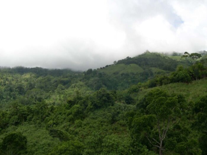 FINCA DE 25 ACRES EN 3 PIEDRAS, QUEPOS VISTAS 360° en Quepos, Puntarenas — $149,000