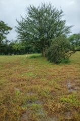 Lotes en Venta – Proyecto Cascada con Acceso Privado a Catarata - Foto 3 de 3