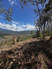 Terreno premium con vista a Carara y al río Tárcoles