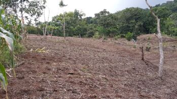 Lotes en Venta en Llano Grande de Mora, Puriscal in Picagres, Mora, San José — 60 000 000 ₡ - Photo 5 of 5
