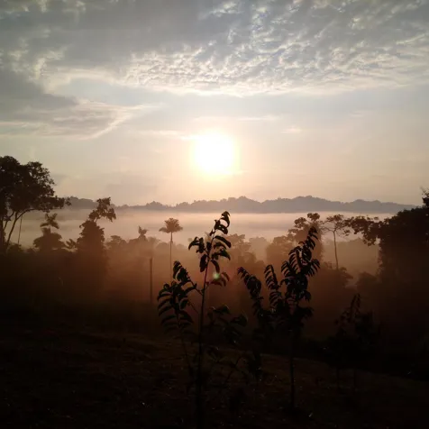 Exuberante propiedad para desarrollo en Cahuita en Cahuita, Talamanca, Limón — $2,000,000 - Foto 2 de 16