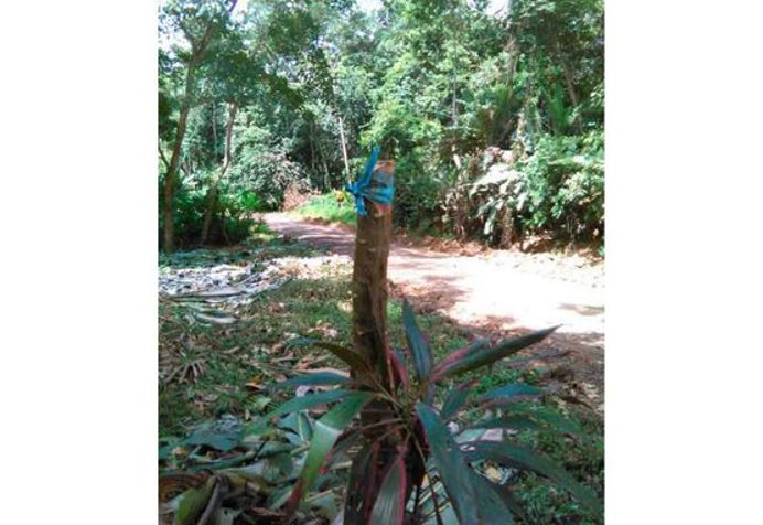 VENTA DE LOTE, LIMÓN, PUERTO VIEJO, COCLES en Cahuita, Talamanca, Limón — $75,000