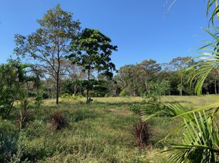 SE VENDEN QUINTAS EN MIRAMAR DE PUNTARENAS en Miramar, Montes De Oro, Puntarenas — 80 000 000 ₡ - Foto 5 de 15