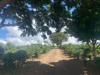 Se vende amplia finca de 18 hectáreas en Concepción Heredia 25-1394 in Concepción, San Rafael, Heredia — $5,770,931 - Photo 4 of 19