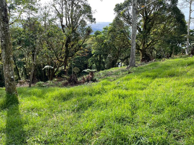 VENTA DE LOTE, HEREDIA, VARABLANCA in Vara Blanca, Heredia — $288,060 - Photo 2 of 14