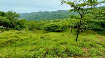 Preciosa Finca en Carrera Buena de San Ramón en Zapotal, San Ramón, Alajuela — 200 000 000 ₡ - Foto 4 de 29