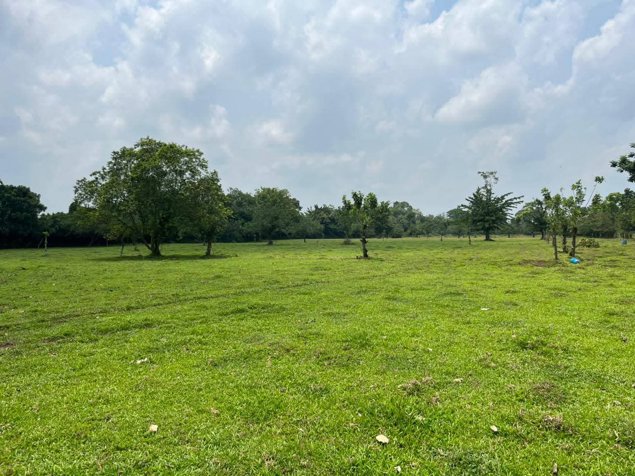 SE VENDE BELLA FINCA EN SAN RAFAEL DE GUÁPILES. en Guápiles, Pococí, Limón — ₡ 208 000 000