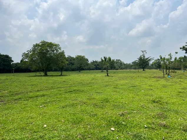 SE VENDE BELLA FINCA EN SAN RAFAEL DE GUÁPILES. en Guápiles, Pococí, Limón — ₡ 208 000 000