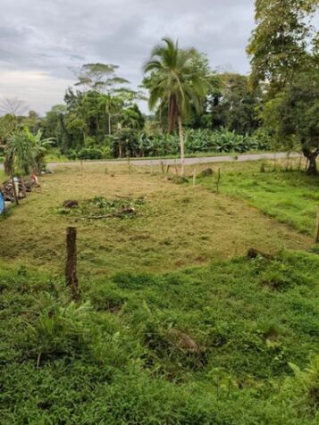 SE VENDE BELLA PROPIEDAD EN CANALETE DE UPALA.  en Canalete, Upala, Alajuela — ₡ 4 000 000