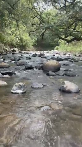 Hermosa propiedad en San Ramón con 5 pozas naturales en Jacó, Garabito, Puntarenas — ₡ 125 000 000 - Foto 3 de 4
