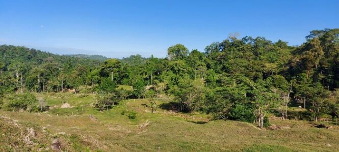 Se Vende Finca de 107 Hectáreas en Matina, Limón – Oportunidad Única in Matina, Limón — ₡ 230 000 000
