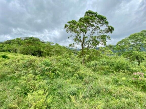 Venta de Lote en San Ramon, Alajuela. RAH 25-1837 en Peñas Blancas, San Ramón, Alajuela — $1,500,000