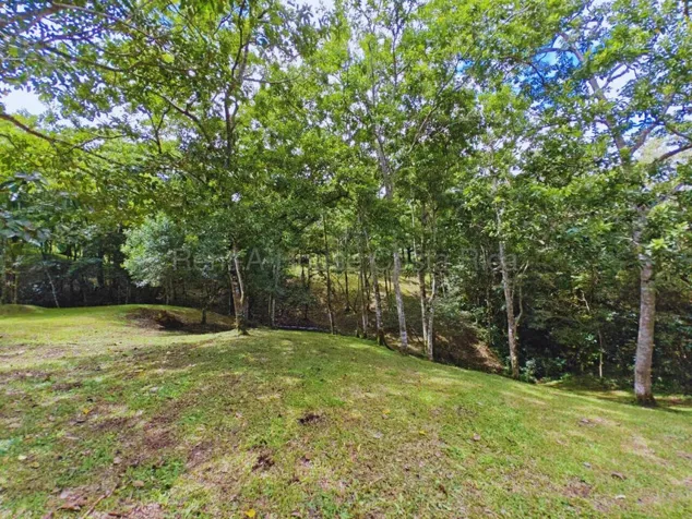 Venta de Lote en Tilarán-Chimurré, Guanacaste. RAH 27-345 en Tronadora, Tilarán, Guanacaste — ₡ 52 000 000 - Foto 2 de 10