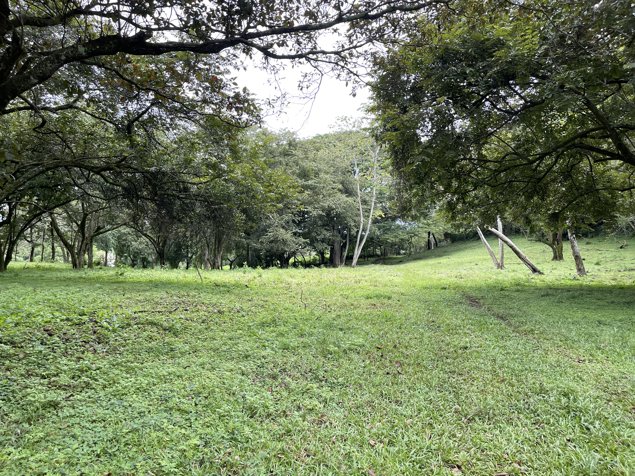 La Garita Alajuela, propiedad para desarrollo 6.2 hectareas in Garita, Alajuela — $2,500,000 - Photo 2 of 9