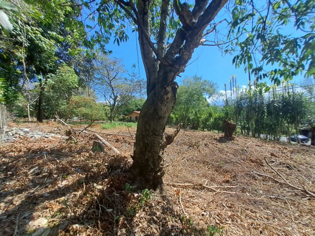Venta terreno uso de suelo mixto Orotina en Orotina, Alajuela — $185,000 - Foto 3 de 4