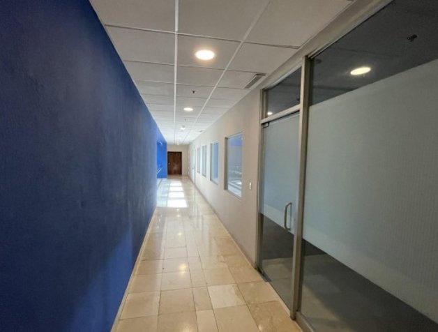 ALQUILER DE OFICINA, SAN JOSE, ESCAZU, PLAZA ROBLE in Escazú, San José — $5,969