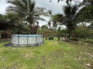 Venta de Amplia Finca Rural en Pococí-Guápiles. RAH 27-274 en Guápiles, Pococí, Limón — 138 000 000 ₡ - Foto 2 de 14