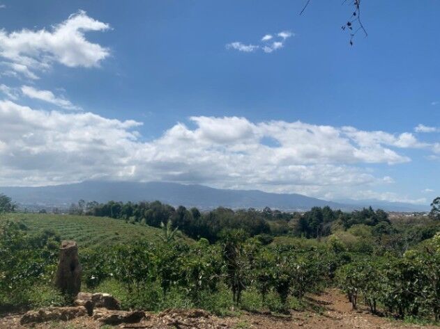 Espectacular finca cafetalera con vistas al Valle Central en San Pablo de Heredia #25-1394 GS in Concepción, San Rafael, Heredia — $5,770,931