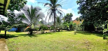 Venta de Lote en Guápiles, Limón in Guápiles, Pococí, Limón — 70 000 000 ₡ - Photo 5 of 14