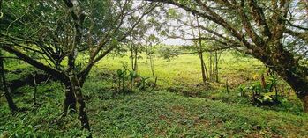 1.37 ACRE LOT WITH CREEK FOR SALE IN RESIDENCIAL RISE in El General, Pérez Zeledón, San José — $250,000 - Photo 4 of 6