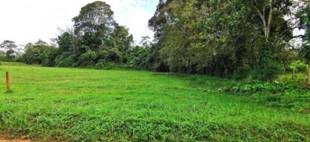 SE VENDEN 2 BELLÍSIMAS PROPIEDADES EN LA FORTUNA DE SAN CARLOS.  en La Fortuna, San Carlos, Alajuela — ₡ 20 000 000