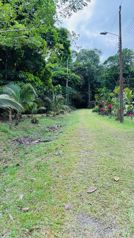 🌿 Terreno a la venta en Guápiles en Guápiles, Pococí, Limón — 20 000 000 ₡ - Foto 3 de 9