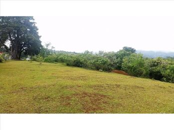 VENTA DE FINCA, HEREDIA, SAN ISIDRO in San Isidro, Heredia — $767,000 - Photo 4 of 8