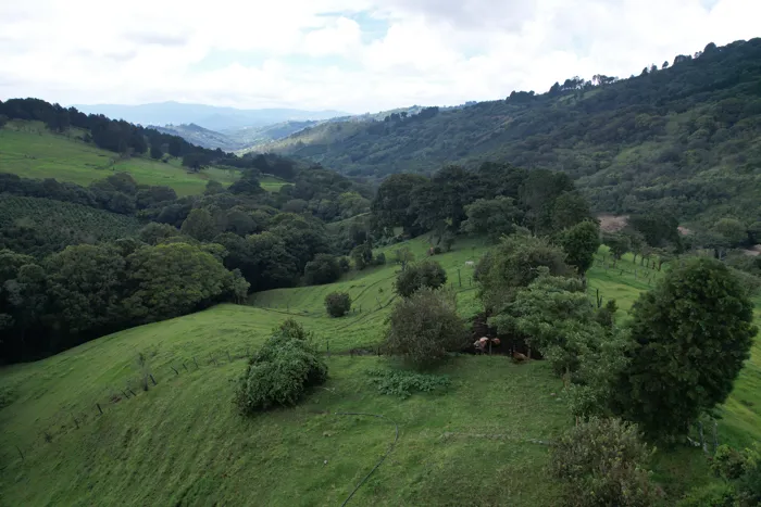 Finca en venta en Llano Bonito, Naranjo, Costa Rica – 10 manzanas en Mercedes, Atenas, Alajuela — ₡ 370 000 000 - Foto 3 de 18