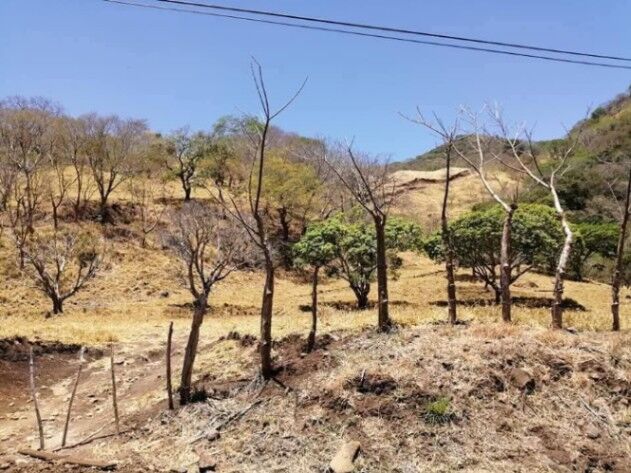VENTA DE LOTE EN ESCOBAL ATENAS COSTA RICA  en Escobal, Atenas, Alajuela — ₡ 24 500 000