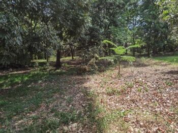 Se vende lote en Brasil Santa Ana 25-1945 in Brasil, Santa Ana, San José — $164,580 - Photo 4 of 20
