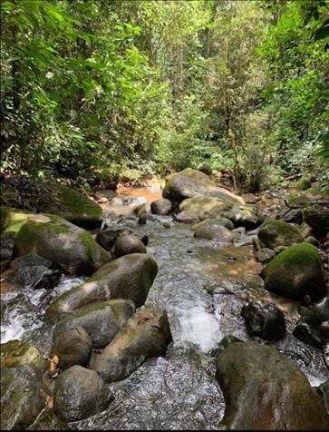LOT FOR SALE, QUIZARRA, PEREZ ZELEDON en Cajón, Pérez Zeledón, San José — $60,000
