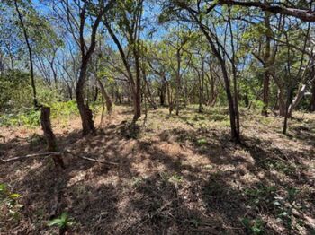 🏖️ Terreno en venta a 5 min de la playa – Guanacaste en Tamarindo, Santa Cruz, Guanacaste — $400,000 - Foto 5 de 8