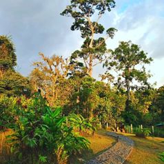 Venta finca c/3 edificaciones, río y vivero, Tárcoles, Garabito. (MV) en Tárcoles, Garabito, Puntarenas — $539,500 - Foto 5 de 20
