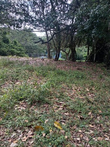 Un viaje por la naturaleza... Propiedades El Rodeonatu in Colón, Mora, San José — $159,000 - Photo 2 of 2