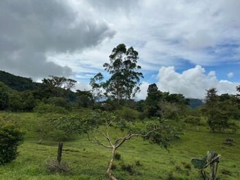 (106HECT)DE RIQUEZA NATURAL Y VISTAS IMCOMPARABLES, EN PZ. en San Isidro De El General, Pérez Zeledón, San José — $600,000 - Foto 4 de 12