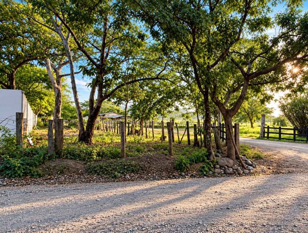 Lote en venta en Tamarindo, Guanacaste | 1.597 m² in Tamarindo, Santa Cruz, Guanacaste — $110,000 - Photo 3 of 8