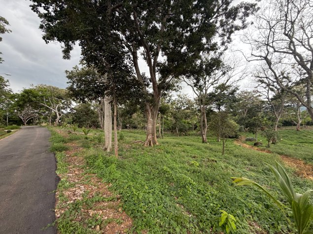 Se venden dos lotes contiguos en Atenas, en un entorno tipo parque in Atenas, Alajuela — $171,000