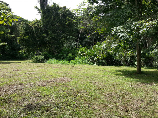 SE VENDE TERRENO EN QUEBRADA GANADO, PUNTARENAS en Jacó, Garabito, Puntarenas — $140,000 - Foto 3 de 16