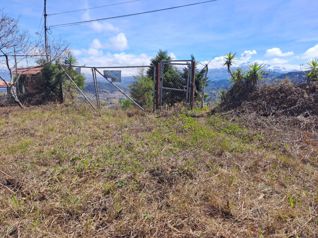 PRECIO DE OPORTUNIDAD!! Venta terreno Jericó Desamparados in San Miguel, Desamparados, San José — 25 000 000 ₡ - Photo 2 of 16