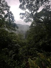 VENTA DE TERRENO l CARIBLANCO, SARAPIQUÍ l ALAJUELA l PRECIO NEGOCIABLE. in Sarapiquí, Alajuela — 85 000 000 ₡ - Photo 5 of 11