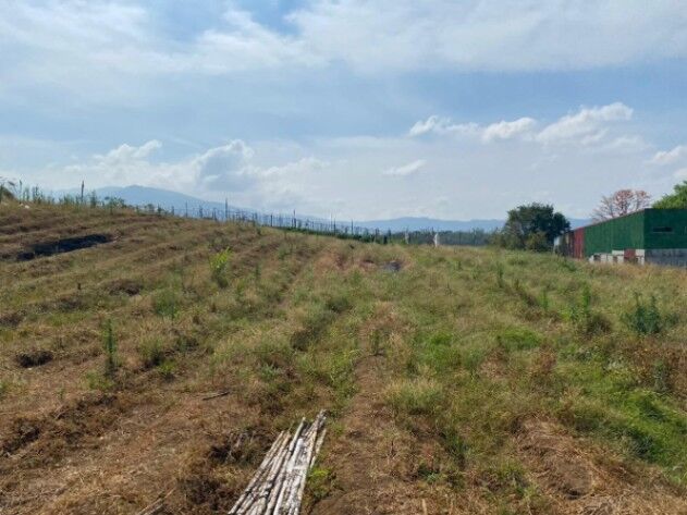 Lote de 25,898 m² en La Guácima – Ideal para Desarrollo Residencial o Comercial #26-389 GS in Guácima, Alajuela — $1,950,000