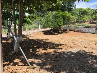 Venta de muy buen lote de 300 m2 en Balsa de Atenas in Atenas, Alajuela — 20 000 000 ₡ - Photo 3 of 14