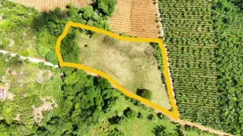 PRIME 1-HECTARE LOT FOR SALE WITH CREEK IN PUEBLO NUEVO DE CAJÓN