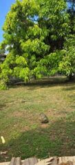 Venta de Casa en Garabito, Puntarenas. RAH 26-1287 in Tárcoles, Garabito, Puntarenas — $260,000 - Photo 5 of 12