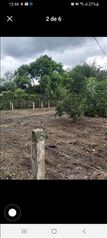 Land For Sale Florencia, San Carlos, Alajuela