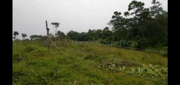 Venta de Lote en Grecia-Río Cuarto, Alajuela. RAH 26-2091 en Grecia, Alajuela — ₡ 58 000 000
