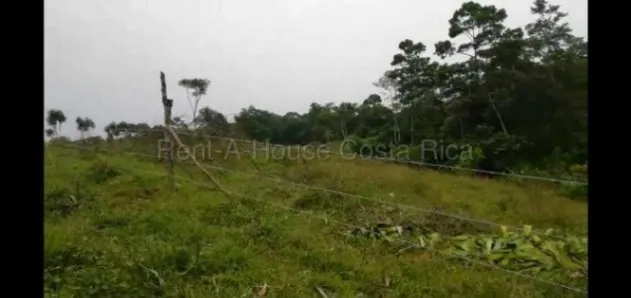 Lot for Sale in Grecia-Río Cuarto, Alajuela. RAH 26-2091 in Grecia, Alajuela — ₡ 58 000 000 - Photo 2 of 5